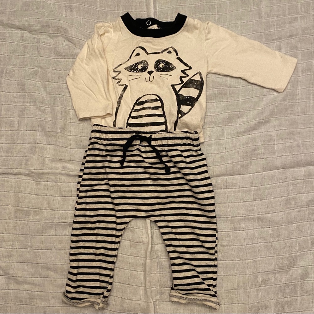 Raccoon 2-Piece Outfit